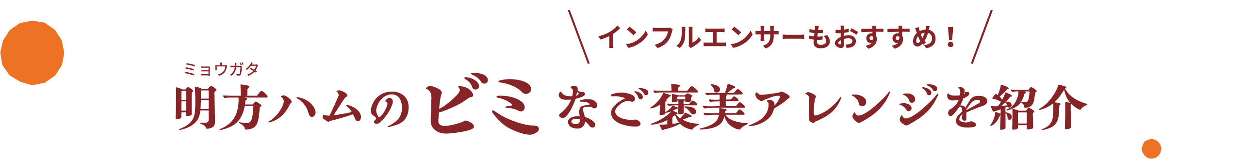 インフルエンサーもおすすめ!明方ハムのビミなご褒美アレンジを紹介